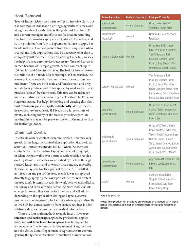 Guide page describing spotted lanternfly host plants, tree-of-heaven identification and removal, and additional control recommendations with supporting illustrations.